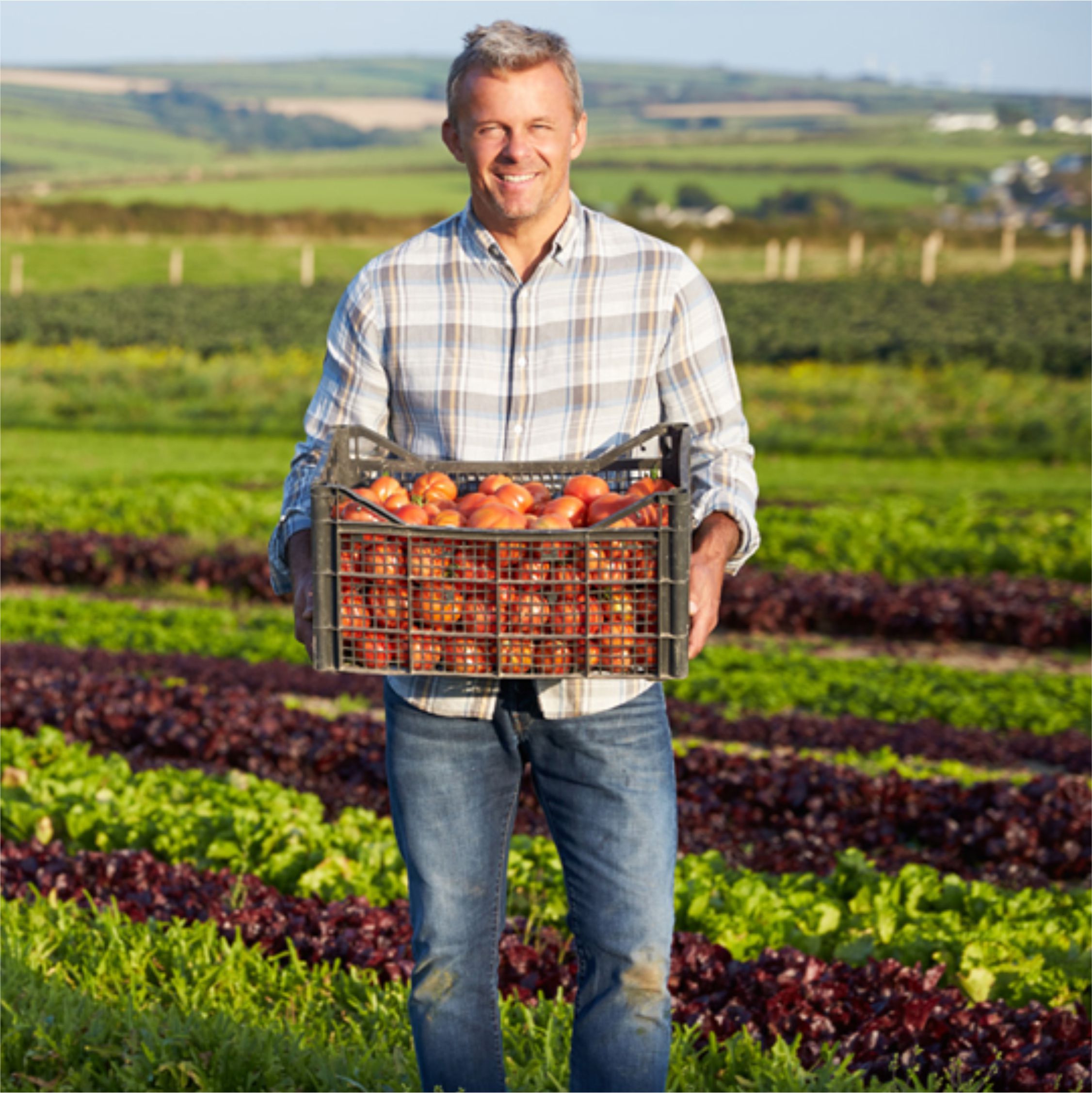 Antonio Queiroz - Produtor Rural